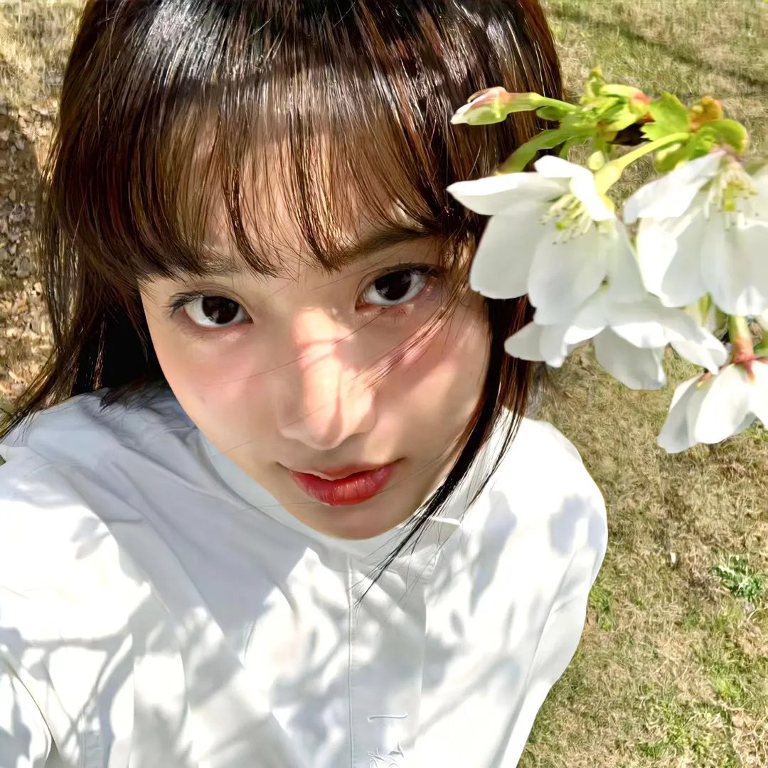 月陨回声